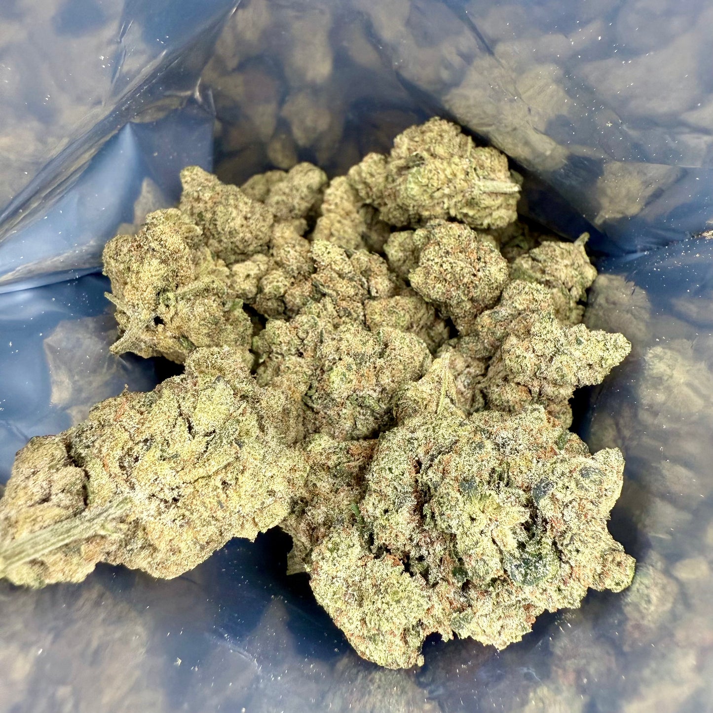 Amnésia Hydro THC+