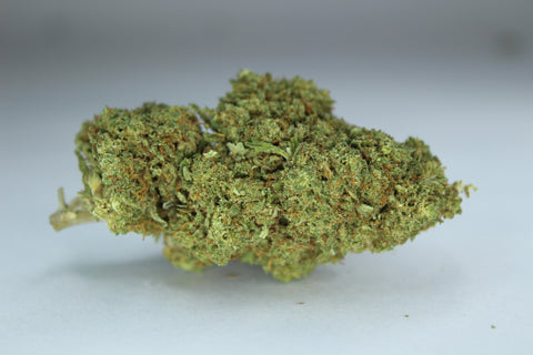 Orange Bud